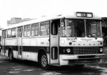 Ikarus 556 1962 года
